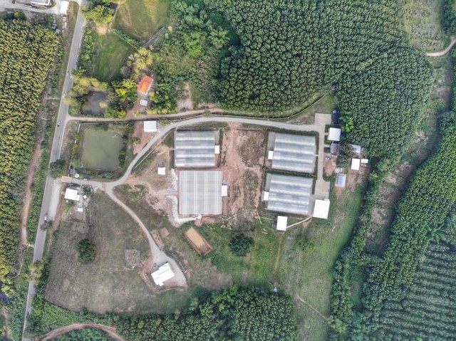 ขาย ฟาร์มผักโรงเรือนปิด 30 ไร่ เลย กำไรเดือนละ 3-5 แสน