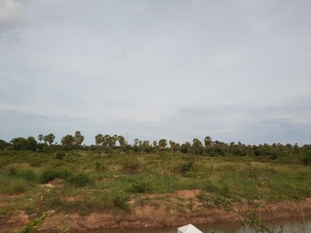 ขายที่ดินติดถนนใหญ่ ใกล้ทะเล ปากน้ำปราณ 21 ไร่ ใกล้ทำเล