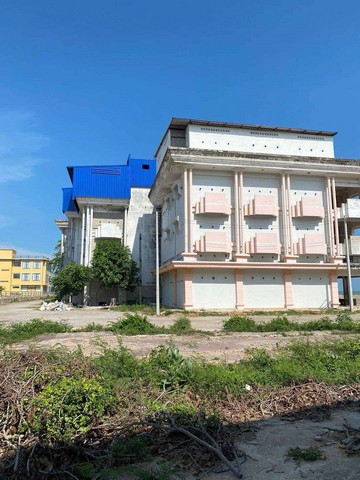 ขายบ้านนกนางแอ่นปึกเตียน เพชรบุรี มีรังแล้ว