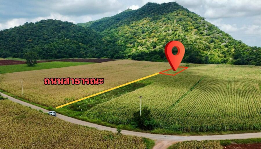 ขายที่ดินทำเลทอง ต.เขาชายธง อ.ตากฟ้า จ.นครสวรรค์