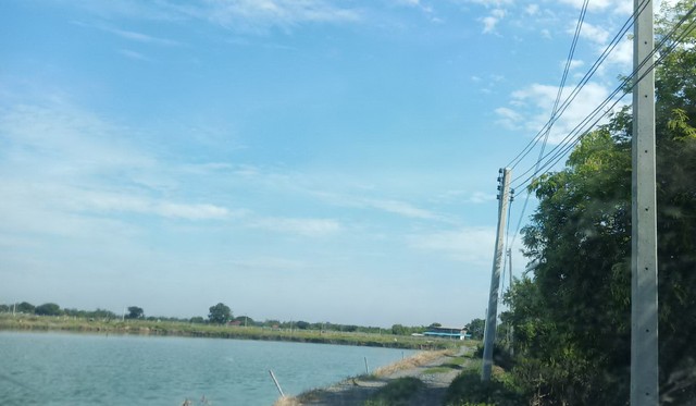 ขายที่บ่อ 18 ไร่ ใกล้ถนน ต.สิบเอ็ดศอก อ.บ้านโพธิ์