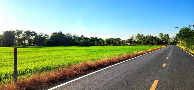 ขายที่ดิน 11 ไร่ หน้ากว้างมากติดถนนลาดยาง ใกล้อบตองครักษ์ ทำเลค้า