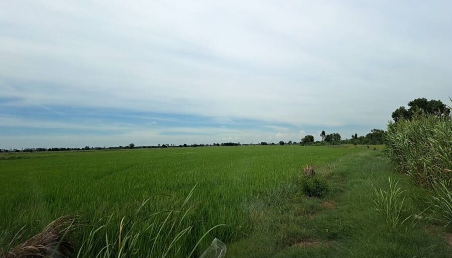 ขายที่ดินราคาพิเศษ อยุธยา บางปะอิน 68-2-9 ไร่ ด้านหน้าติดถนนใหญ่ 347 โทร 084-1416555