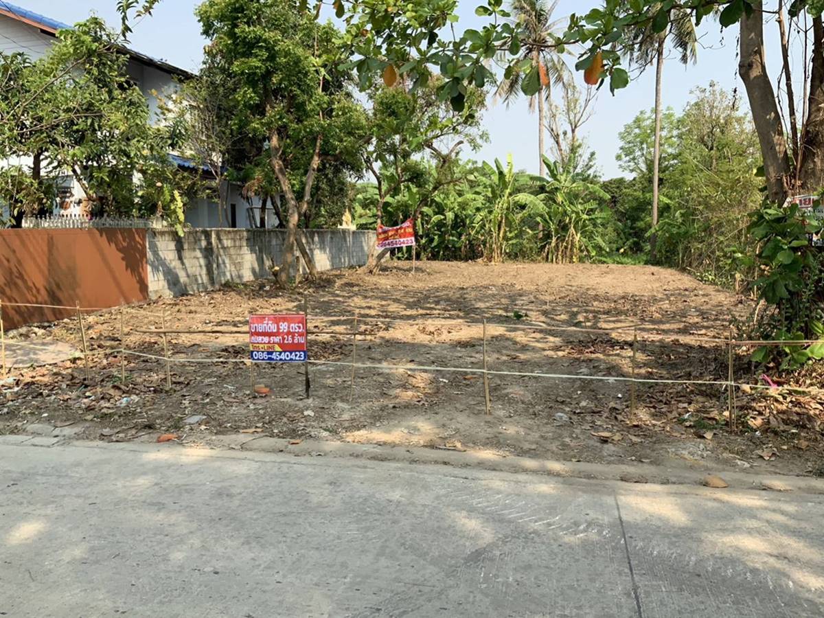 ขายที่ดิน บางใหญ่ ใกล้รถไฟฟ้า 99 วา 2.1 ล้าน 0864540423