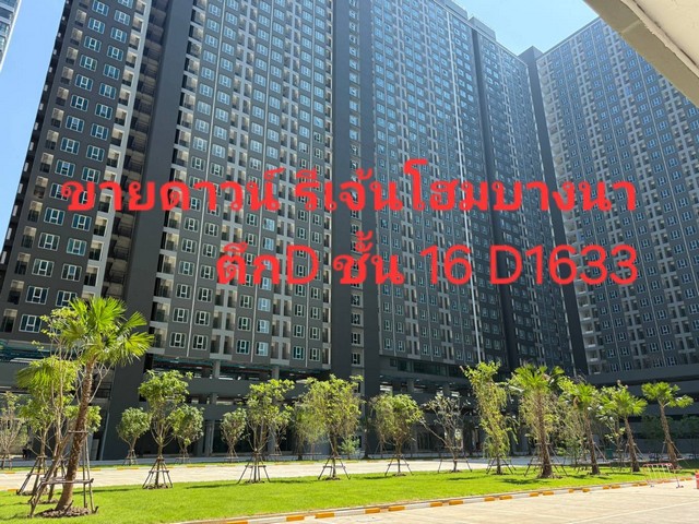 ขายด่วน เท่าทุน Regent Home บางนา ตึก D ชั้น 16 ห้อง D1633 ทิศตะ