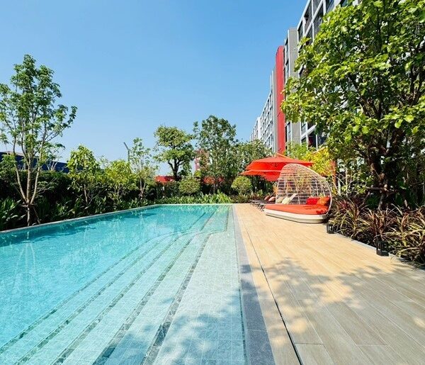 ขายคอนโดใหม่ dcondo Vivid Rangsit ใกล้ ม.กรุงเทพ รังสิต ปทุมธานี พร้อมอยู่ โทร 0654496399
