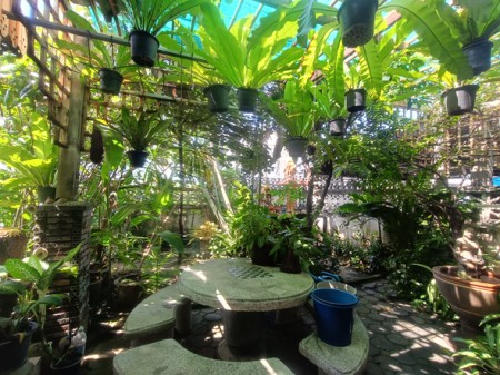 ขาย บ้าน เลียบด่วน เกษตรนวมินทร์–เอกมัย–รามอินทรา สะดวกเดินทางหลายทาง บ้านมือสองลาดพร้าวโชคชัย4 ใกล้โรงพยาบาลเปาโลโชคชัย4