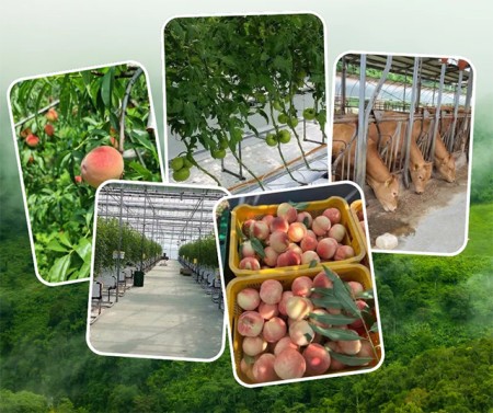 บริการ ประกาศ งานประเทศเกาหลีใต้ งานสวนประเทศออสเตรเลีย รับจัดหางาน งานประเทศอิสราเอล ไม่หลอกลวงทำงานต่างประเทศถูกกฎหมาย