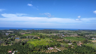 ที่ดิน ขาย ซื้อที่ดินโคกกลอยเจ้าของขายเอง ใกล้สนามบินภูเก็ตใกล้ทะเล ขายที่ดินใกล้หาดนาใต้ไม่เกินล้าน ที่ดินเปล่าโคกกลอยโฉนดพร้อมโอน เหมาะทำบ้านพักตากอากาศ