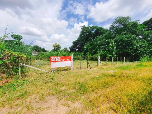 ขาย ที่ดิน เหมาะสร้างบ้านอพาร์ตเมนต์หอพัก เหมาะสร้างบ้านเช่าทำออฟฟิศ บ้านป่าพร้าวนอกซอย6วงแหวนรอบ1 ใกล้ทั้งเมืองสนามบินและศูนย์การค้า ยินดีรับนายหน้า