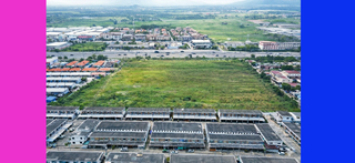 ขาย ที่ดิน ติดถนน344 ราคาถูกสุด ใกล้โลตัสบ้านบึง ที่ดินชลบุรี30ไร่ เหมาะทำหมู่บ้าน